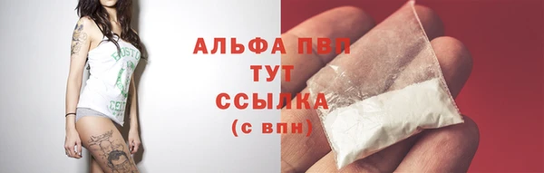 сатива Бугульма
