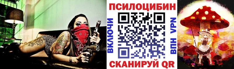 mega ONION даркнет наркотические препараты Грязи Псилоцибиновые грибы мухоморы цена